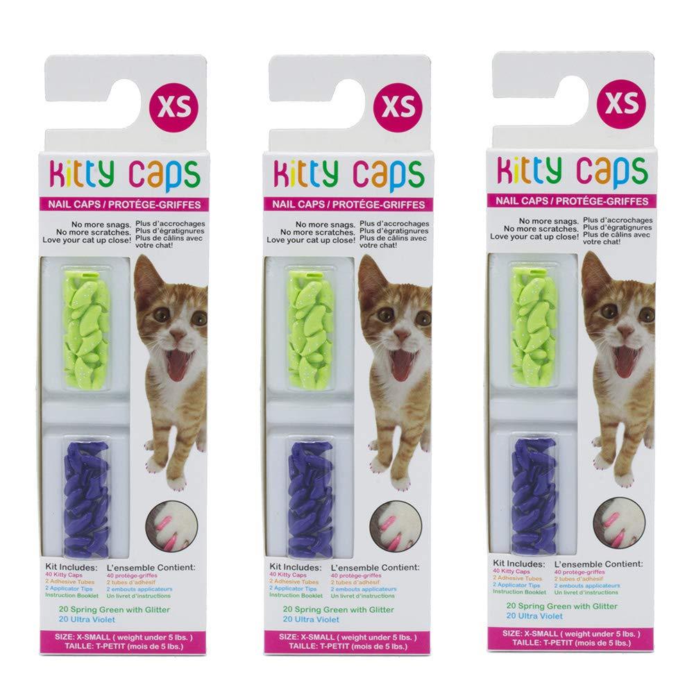 Kitty Caps Nail Caps for Cats | Spring Green with Glitter & Ultra Violet, Available in Multiple Sizes | Safe, Stylish & Humane Alternative to Declawing | Stops Snags and Scratches X-Small (Pack of 20 - PawsPlanet Australia