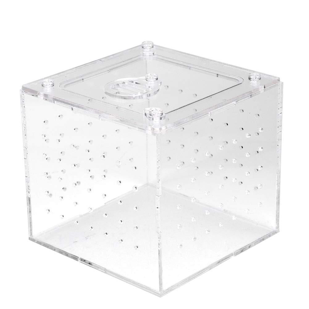 Rehomy Reptile Feeder Case, Acrylic Terrarium Insects House Box for Snakes Spider Lizard Breeding - PawsPlanet Australia