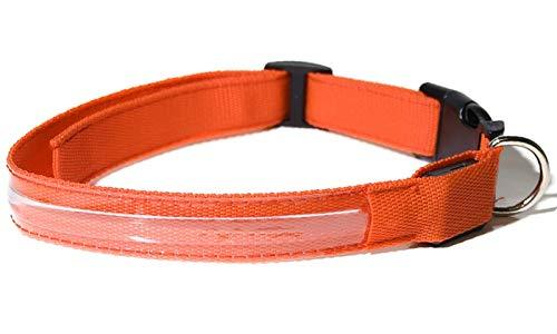 [Australia] - AR Pets LED Dog Pet Collar Medium Orange 