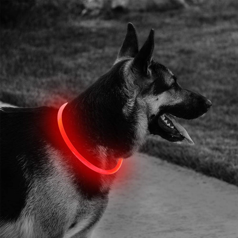 [Australia] - USB Rechargeable LED Dog Collar - Glowing Pet Safety Collar, TPU Light Up Dog Collars to Keep Your Dogs Be Seen & Be Safe Red 