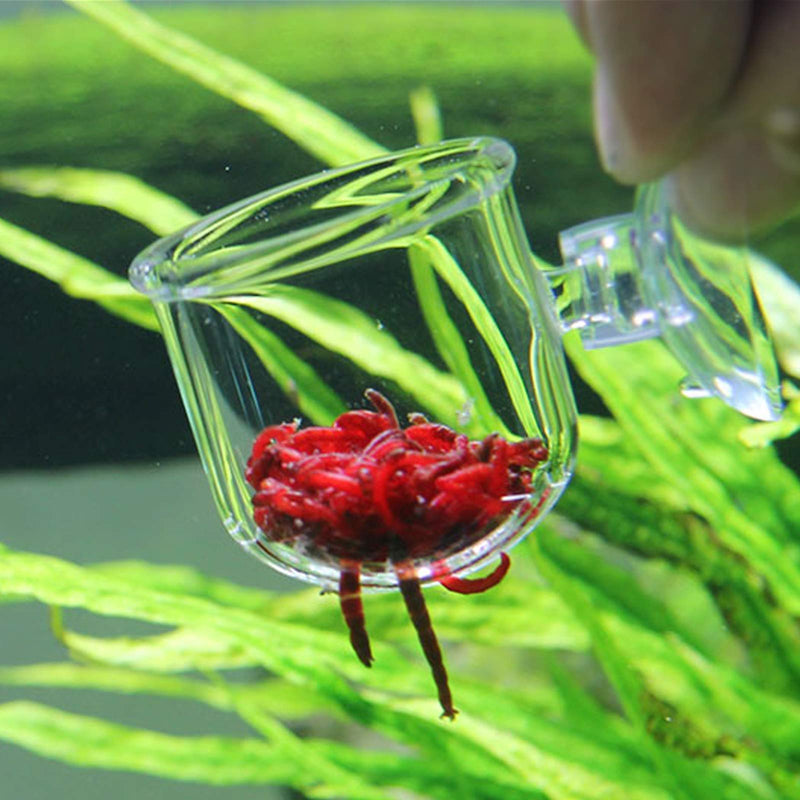 Ailindany Aquarium Glass Feeding Cone Cup Plant Cup Brine Shrimp Live Red Worm Fish Feeder for Aquariums with Suction - PawsPlanet Australia