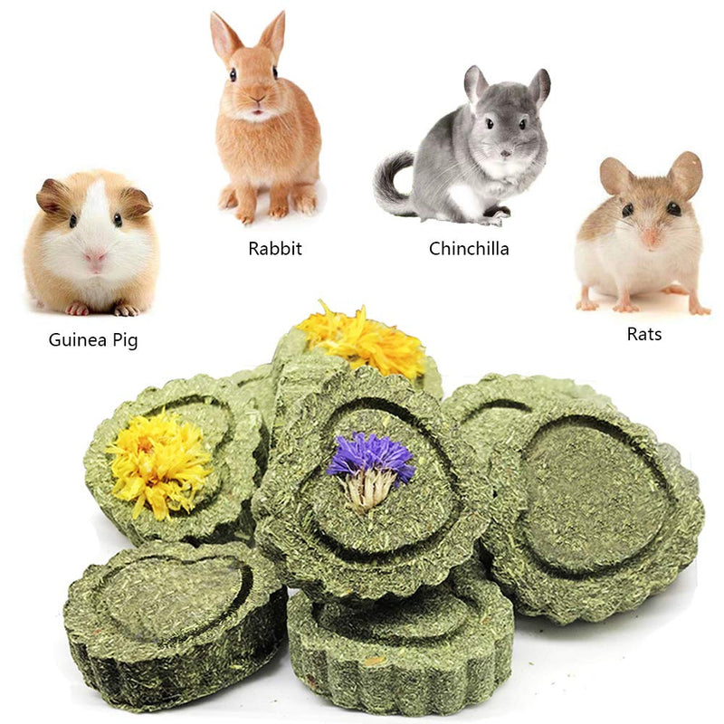 [Australia] - PeSandy Bunny Chew Toys for Teeth, Organic Apple Wood Molar Sticks with Timothy Hay Circles for Bunny Chinchilla Guinea Pig Hamsters Holland Lop Prairie Dogs Squirrels 1 Pack Timothy Hay Circles 