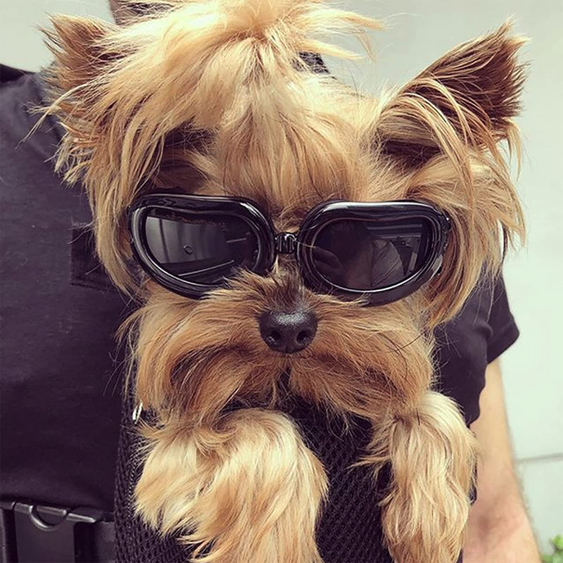 PETLESO Dog Goggles Small Breed, Dog Sunglasses Small Breed Goggles for Small Dogs Riding Driving Black - PawsPlanet Australia