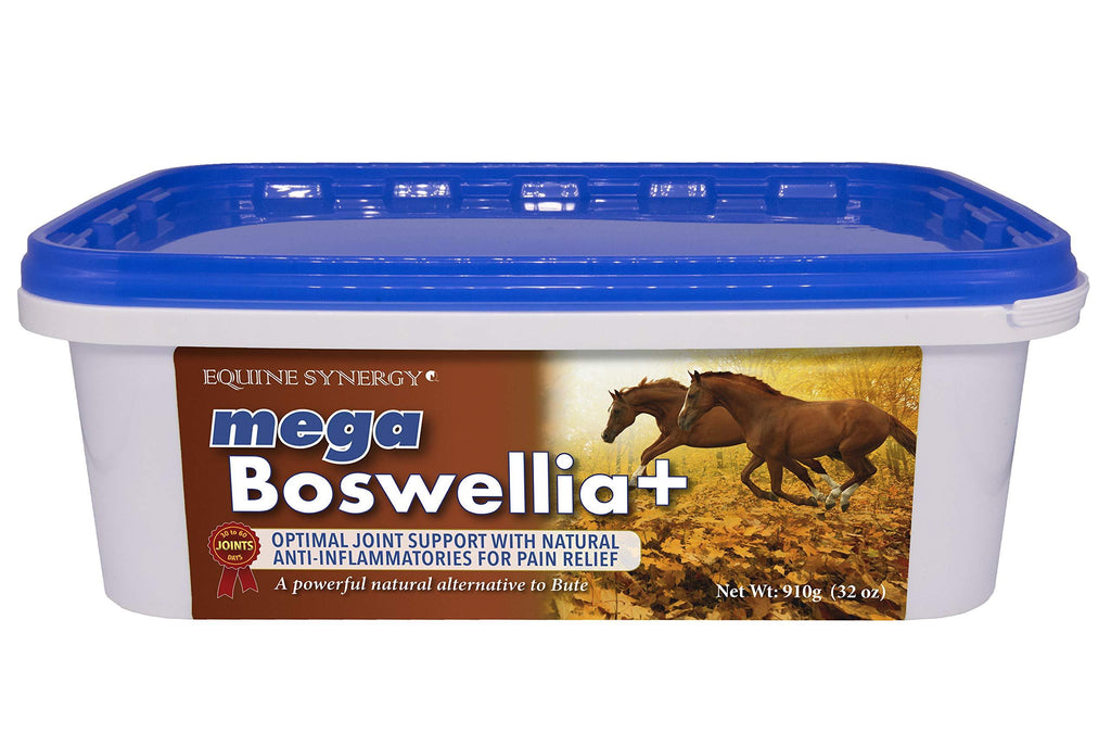 MEGA BOSWELLIA + Promotes Healthy Joints with Natural Pain Relievers and Anti-Inflammatories - an Effective, Powerful Alternative to Bute - PawsPlanet Australia