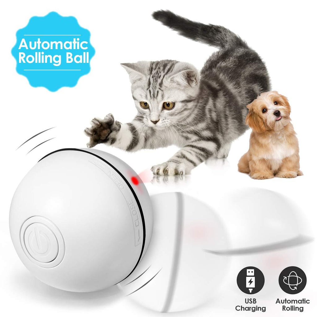 [Australia] - Interactive Cat Toy Ball, 360 Degree USB Rechargeable Motion Red LED Light for Cat/Kitty/Kitten/Pets Exercise Chase Play Cat Toy Balls, Cat Toys for Indoor Cats, Pet Toys White 