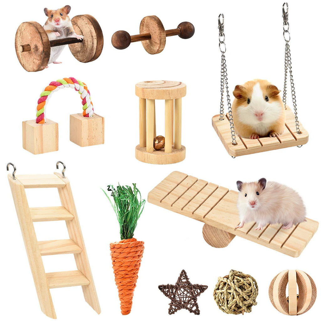 Furpaw Hamster Chew Toys, 11 Pcs Natural Wooden Exercise Toys for Guinea Pigs Syrian Hamster Rabbits, Small Animal Activity Molar Toys Relieve Boredom - PawsPlanet Australia