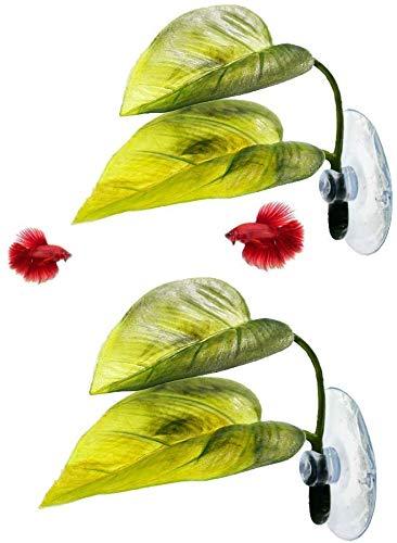 [Australia] - MBODM Betta Fish Leaf Hammock,2Pcs Betta Fish Leaf Bed Pad Plant Leaf Pad Fish Spawning Grounds Breeding Resting Bed 