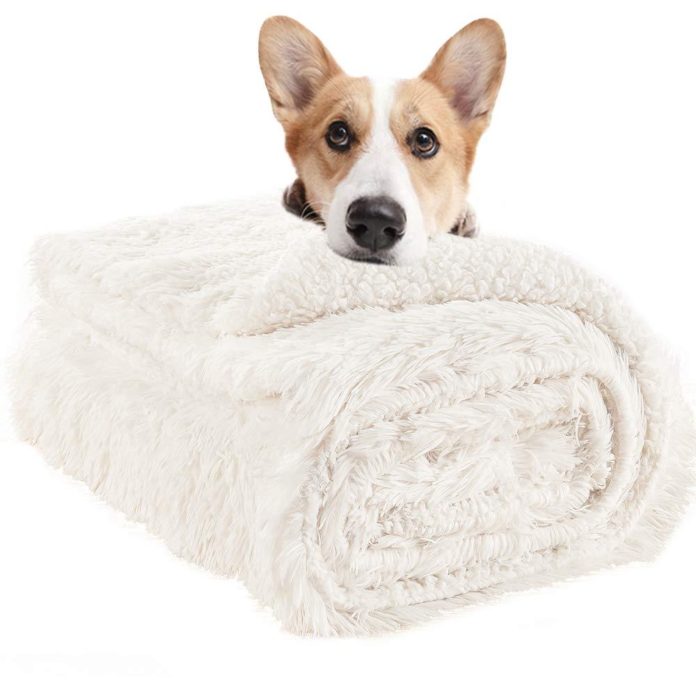 LOCHAS Luxury Velvet Fluffy Dog Blanket, Extra Soft and Warm Sherpa Fleece Pet Blankets for Dogs Cats, Plush Furry Faux Fur Puppy Throw Cover Small(20''x30'') Cream White - PawsPlanet Australia