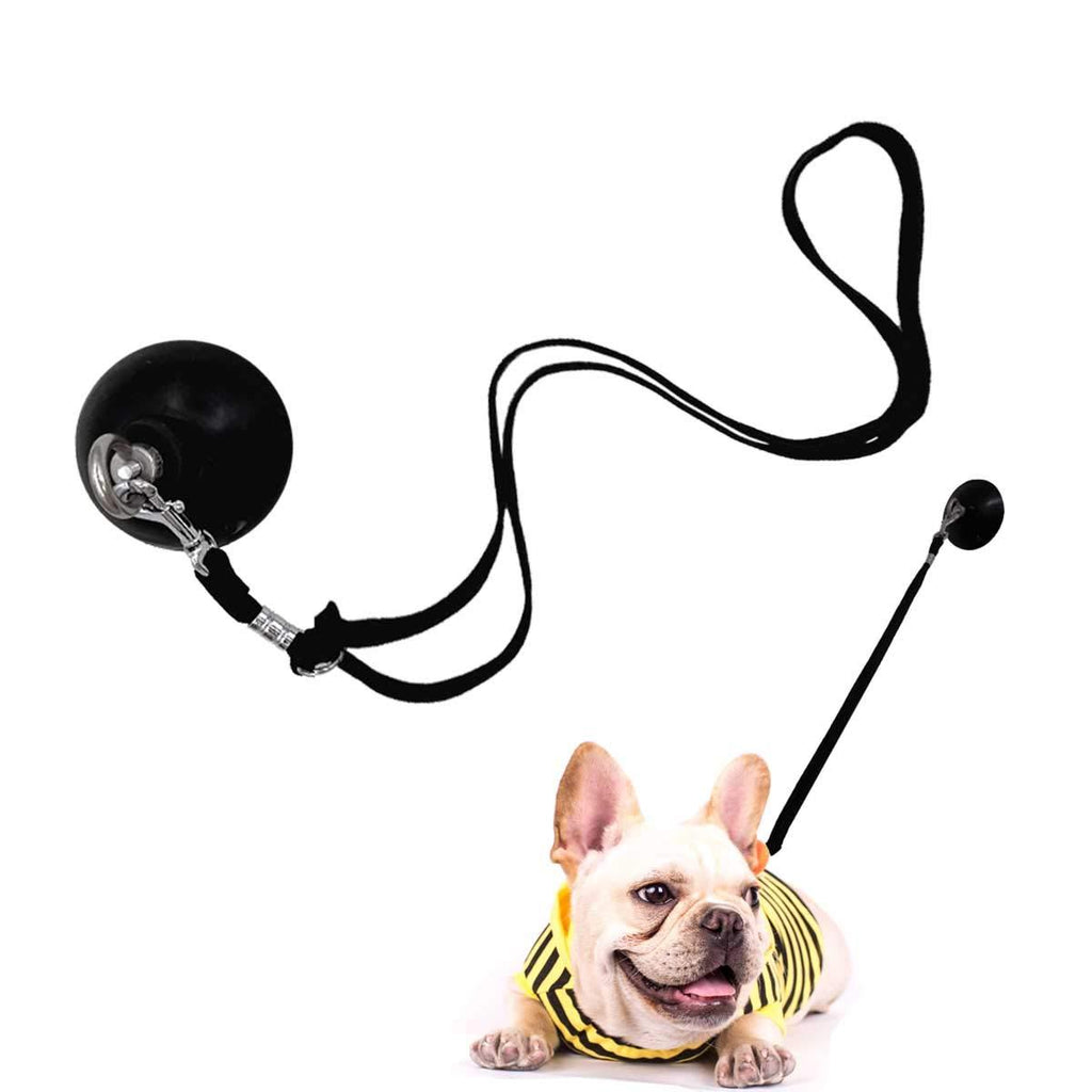 [Australia] - YELL Dog Bathing Suction Cup Tether - Leash with Collar Keeps Dog in Bathtub or Shower - Any Size Dog 