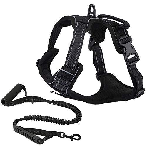 [Australia] - TrainPro No-Pull Dog Collar Harness and Leash Training Set for Easy Control! - Kinder to your Pet than Standard Collars! - Fully Adjustable with Comfort Padding! - Great for Small, Medium, Large Dogs! LG Black 