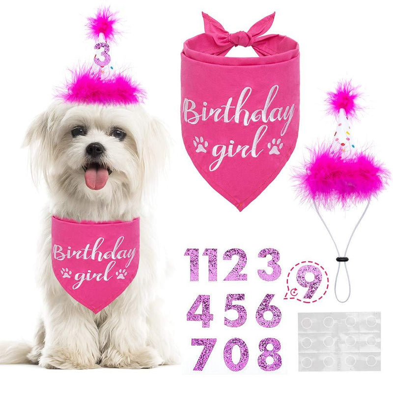 BINGPET Dog Birthday Bandana Girl Scarf and Reusable Dog Birthday Hat with 0-8 Figures Pink - PawsPlanet Australia