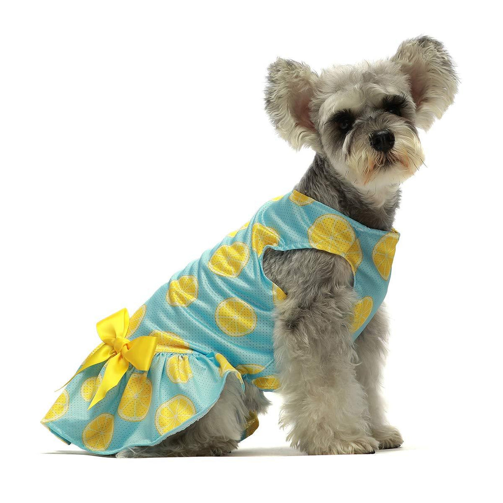 Fitwarm Lemon Summer Dog Dress Puppy Clothes Doggie Sundress Pet Vest Cat Apparel Water Blue XS - PawsPlanet Australia