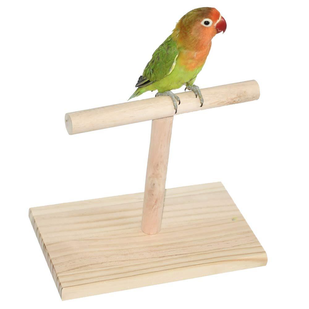 [Australia] - ZOHOKO Parrot Training T Stand Perch, Small Tabletop Bird Stands Perches for Conures Parakeets Lovebirds Cockatiels 