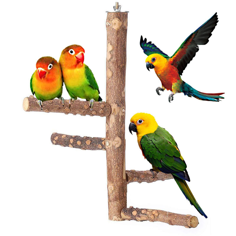 [Australia] - Bird Perch Natural Wood Stand Toy, Parrot Perch Branch for 3-4pcs Small Medium Birds, Birdcage Toy Climbing Stairs for Parakeets Cockatiels, Conures, Macaws, Parrots, Love Birds, Finches Large-length 13.8" 
