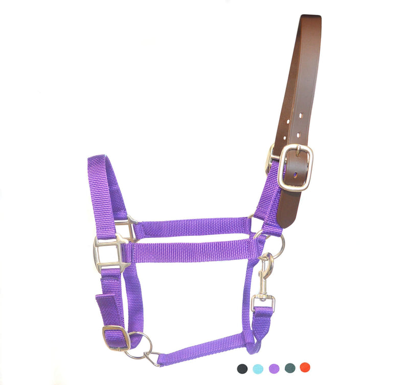 SIE Adjustable Breakaway Nylon Horse Halters Purple Draft - PawsPlanet Australia