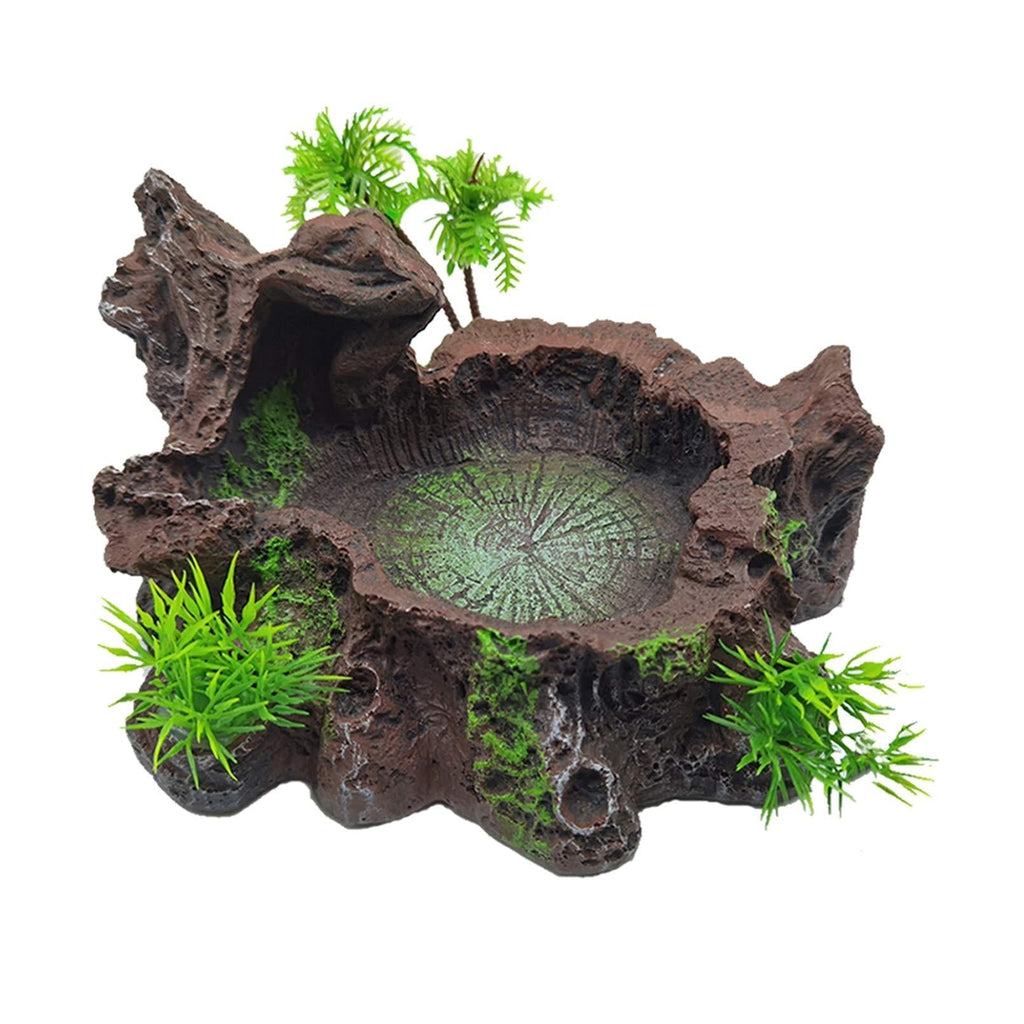 Tfwadmx Reptile Feeding Bowl,Resin Beared Dragon Food Water Dish with Artificial Plants for Lizard Gecko Frog Turtle Spider - PawsPlanet Australia