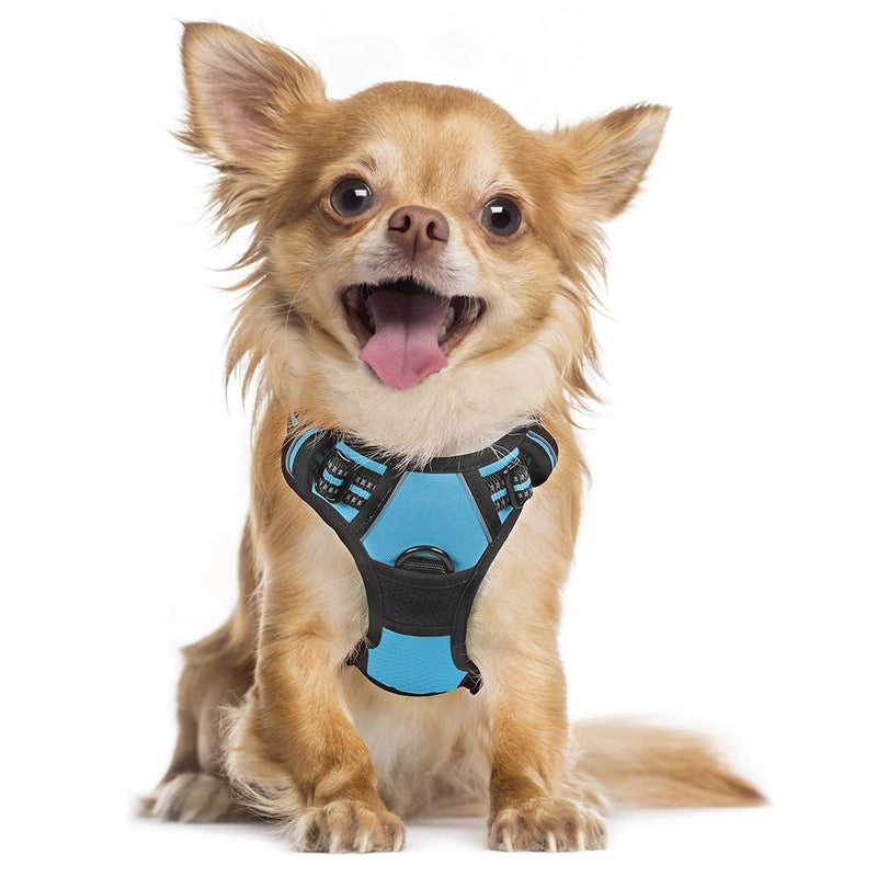 rabbitgoo Dog Harness, No-Pull Pet Harness with 2 Leash Clips, Adjustable Soft Padded Dog Vest, Reflective Outdoor Pet Oxford Vest with Easy Control Handle Small Baby Blue - PawsPlanet Australia
