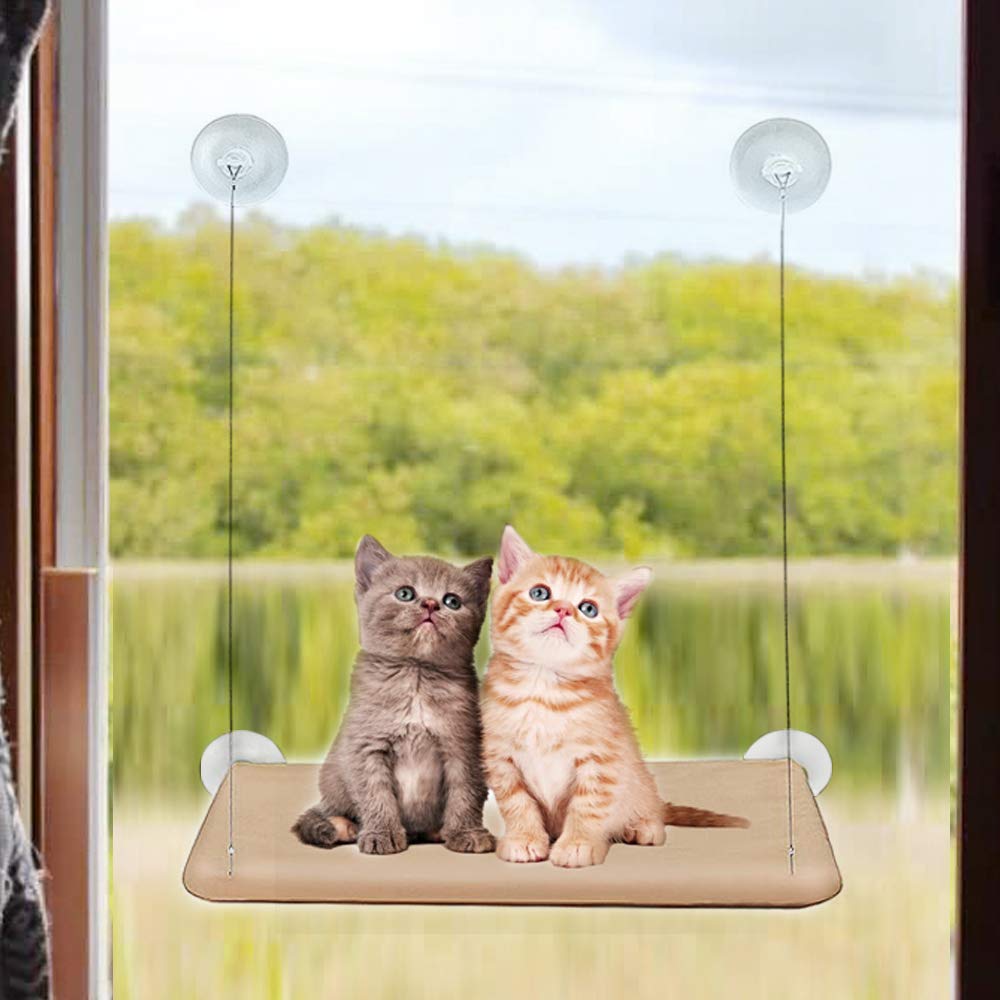 [Australia] - JOCHA Cat Bed Window Perches Mounted Hammock Resting Seat Shelves Providing All Around 360° Sunbath Space Saving Safety Durable Heavy Duty Suction Cups Holds Up to 30lbs Weight 