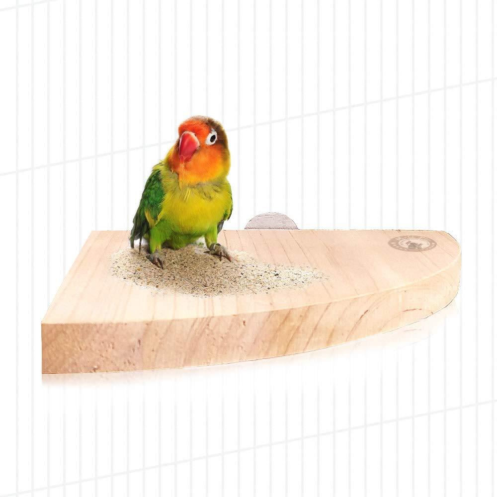 [Australia] - Mrli Pet Bird Perch Platform Stand Wood for Small Animals Parrot Parakeet Conure Cockatiel Budgie Gerbil Rat Mouse Chinchilla Hamster Cage Accessories Exercise Toys Sector Medium 