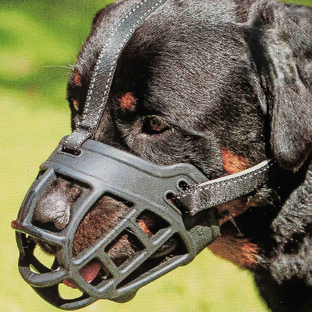 [Australia] - Dog Muzzle,Soft Basket Silicone Muzzles for Dog, Best to Prevent Biting, Chewing and Barking, Allows Drinking and Panting, Used with Collar 1 (Snout 7-8") Black 