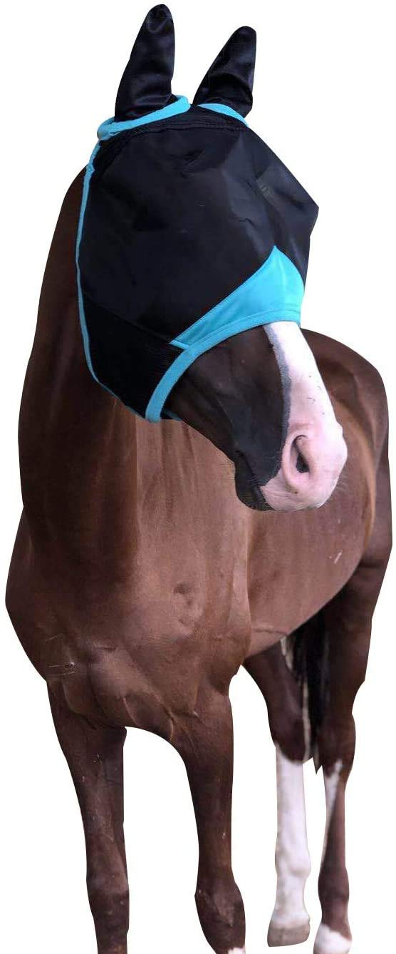 TGW RIDING Horse Mask with Ears Fine Mesh Warmblood Black/Turquoise - PawsPlanet Australia