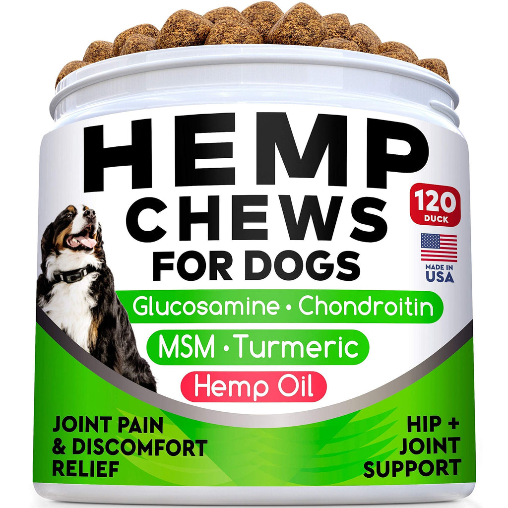 All-Natural Hemp Chews + Glucosamine for Dogs - Advanced Hip & Joint Supplement w/Hemp Oil Turmeric MSM Chondroitin + Hemp Protein to Improve Mobility - Joint Pain Relief Made in The USA - 120 Ct Bacon - PawsPlanet Australia