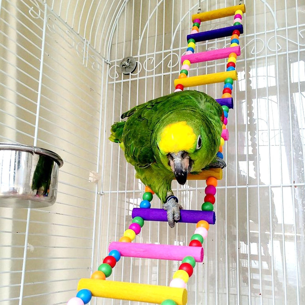 Bird Parrot Toys Ladders Swing Chewing Toys Hanging Pet Bird Cage Accessories Hammock Swing Toy for Small Parakeets Cockatiels, Lovebirds, Conures, Macaws, Lovebirds, Finches 10 Bird Ladders - PawsPlanet Australia