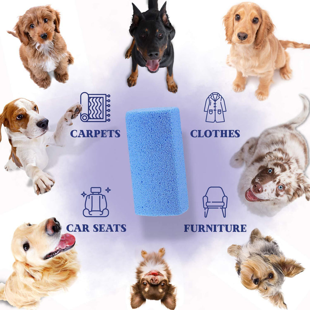 Moxler Pumice Stone Pet Hair Removal Tool for Car Seat Mat Couch Bed Carpet Rug Floor Furniture Reusable Animal Fur Remover Cat Dog Hair Cleaner 2*5 Blue - PawsPlanet Australia