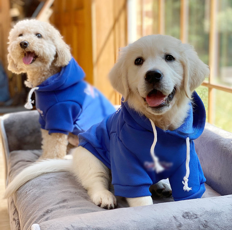 ChoChoCho Dog Hoodie Pet Clothing, Cats Hoodies, Stylish Streetwear Blue Dog Sweatshirt Tracksuits, Dog Outfit for Dog Cat Puppy Small Medium S (2-5 LBS) - PawsPlanet Australia