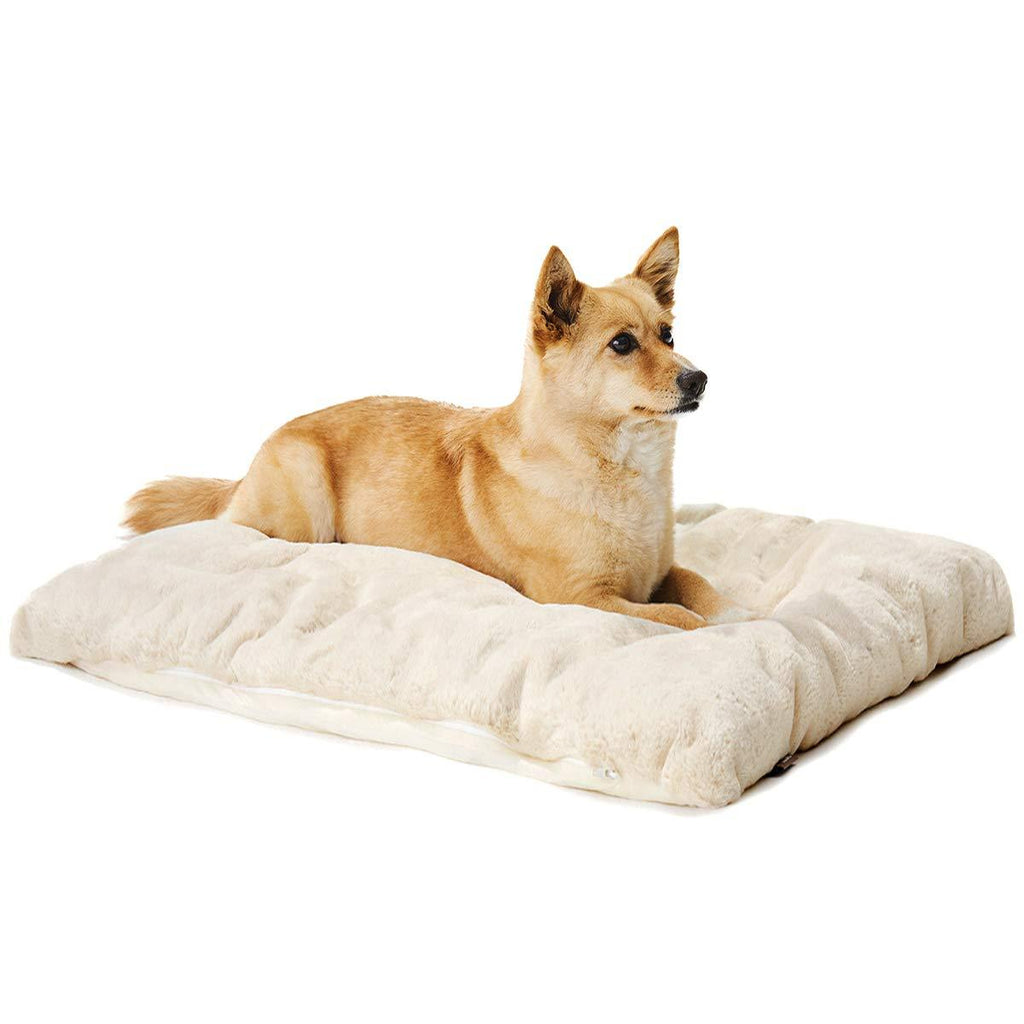 ARRR Warm & Cool Double-Sided pet Mat | Self-Warming & Cooling Effect | Blanket Cushion Cuddler for Dogs and Cats Medium Oatmeal - PawsPlanet Australia
