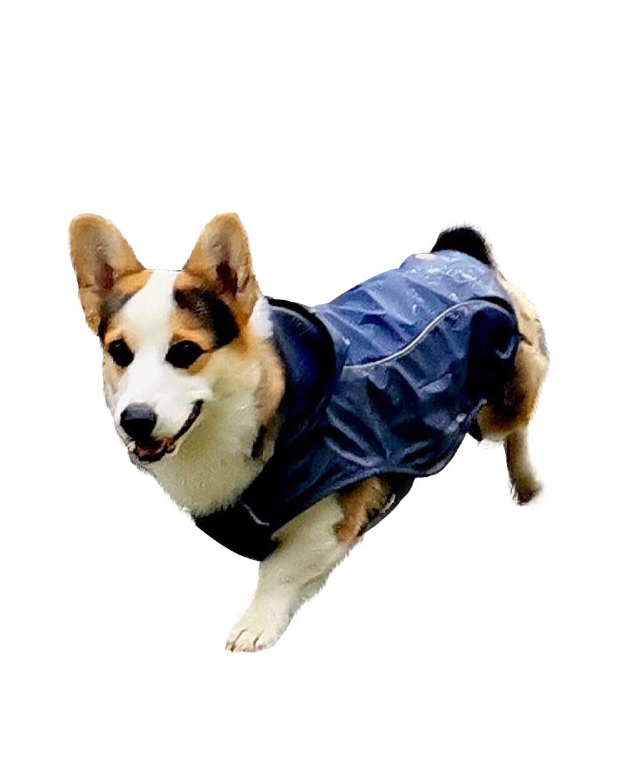 ASMPET Dog Raincoat, Lightweight Waterproof Dog Poncho, Hooded Dog Raincoat with Harness, Adjustable Dog Rain Jacket with Reflective Strip, Dogs Slicker for Small, Medium Large Dog, XS-5XL XS(Back Length:10") Navy Blue - PawsPlanet Australia