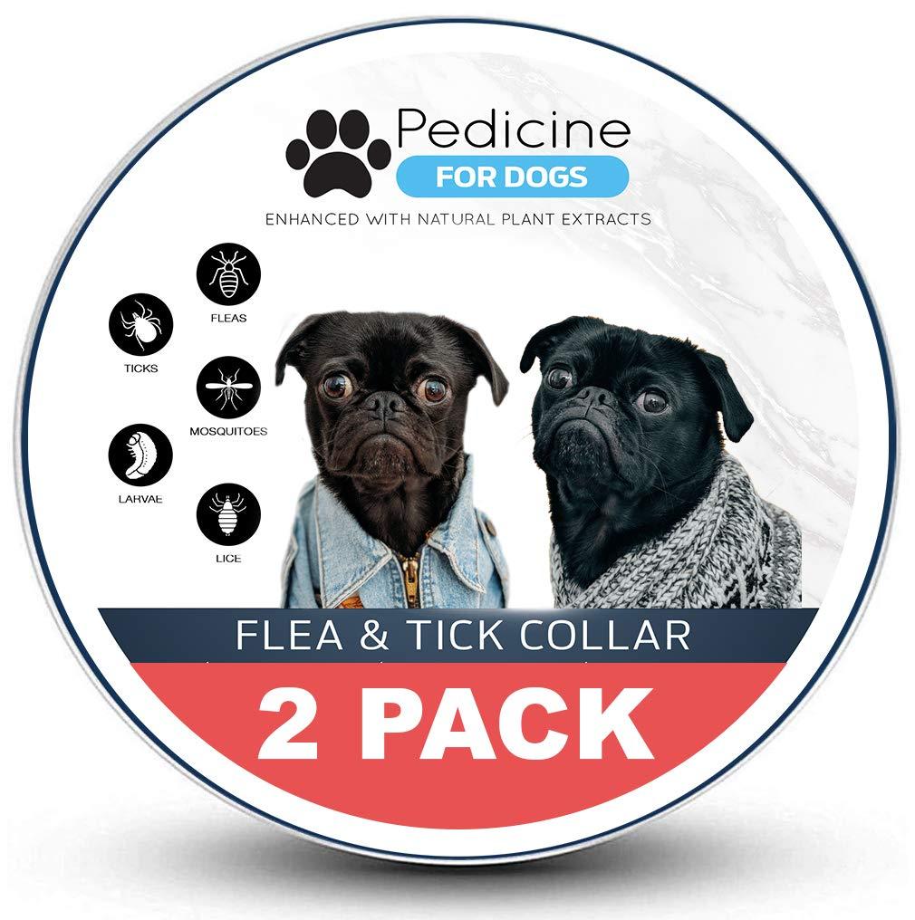 Pedicine Dog Flea Collar (2 Pack) for Flea and Tick Treatment and Prevention | Collars Work for Dogs and Puppies | 100% Natural | for Large and Medium Dogs - PawsPlanet Australia