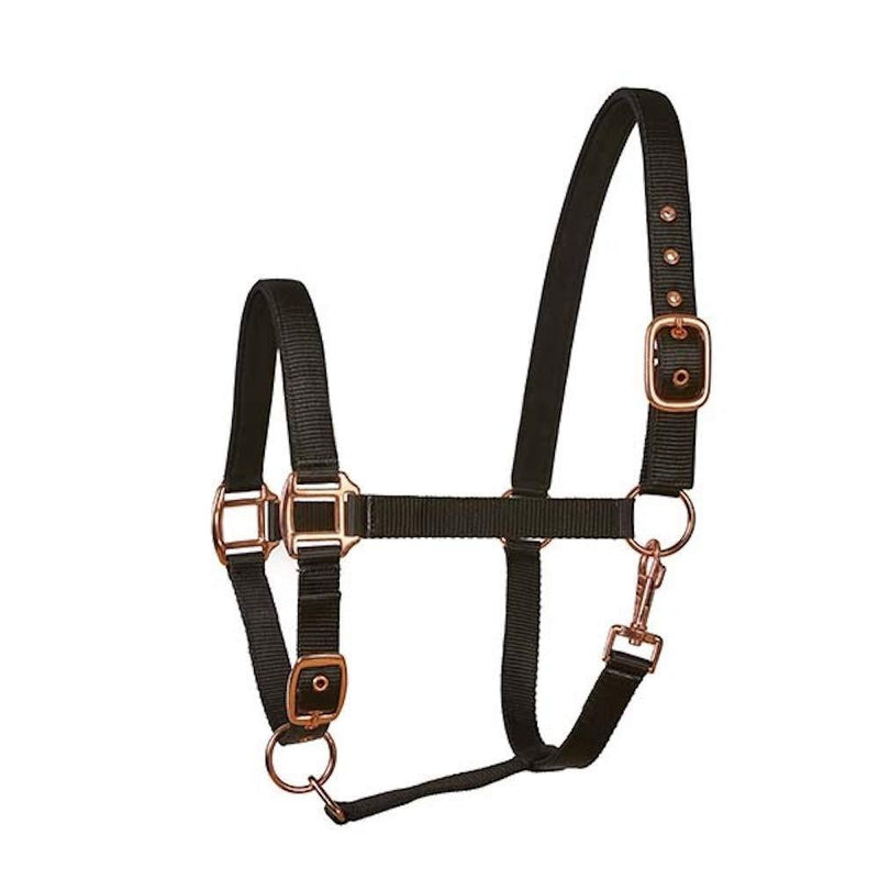Elico Bowness Padded Head Collar with Rose Gold Fittings - BLACK. Cob Size - PawsPlanet Australia