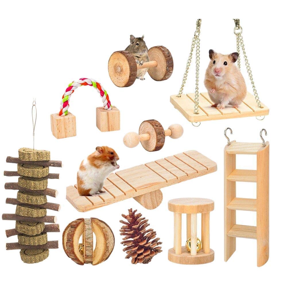 Smchnla Hamster Chew Toys 10 Pcs Set Natural Wooden Gerbils Rats Chinchillas Toys Accessories Teeth Care Molar Toy - PawsPlanet Australia