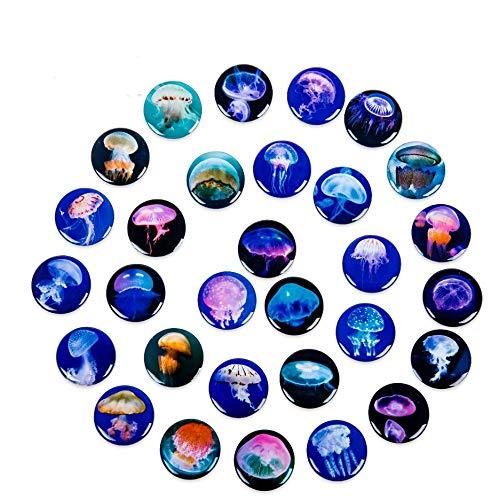 30 Pcs Motivational Fridge Magnets/Small Colorful Decoration for Classroom Whiteboard/Photos/Locker/Kitchen Supplies/Housewarming Home Decorations New Year Xmas Gift (Ocean Blue Jellyfish) - PawsPlanet Australia