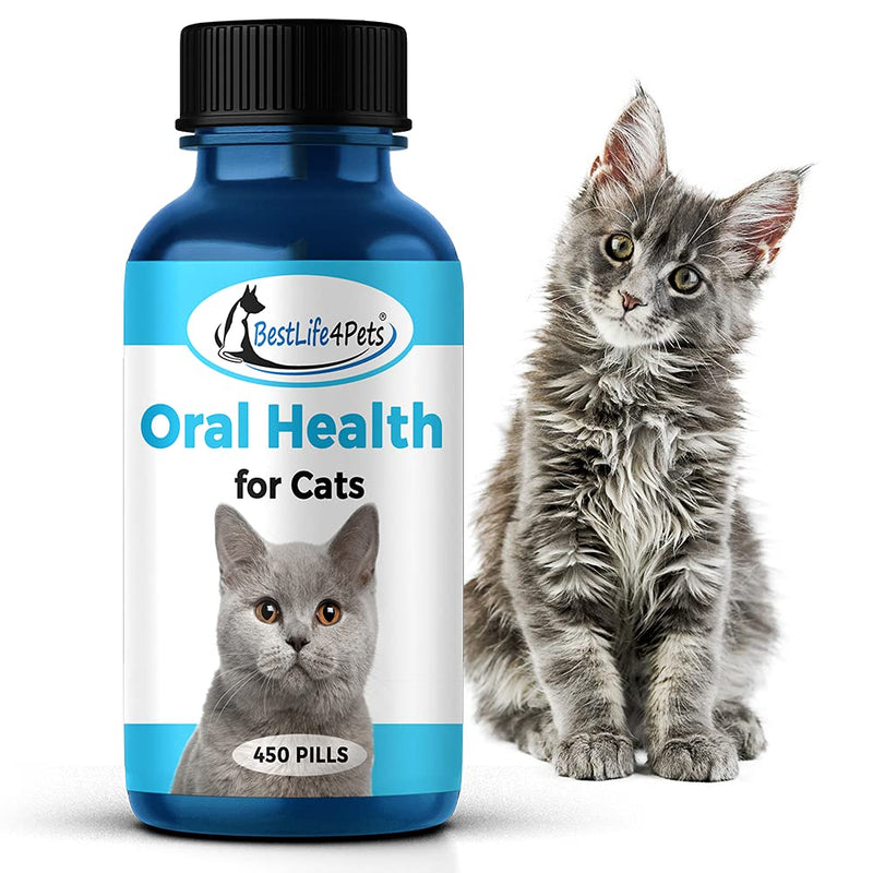 BestLife4Pets Oral Health for Cats and Dental Care Supplement – All Natural Anti-inflammatory Pain Relief for Stomatitis Gingivitis and Gum Disease - Easy to Use 1-Pack - PawsPlanet Australia