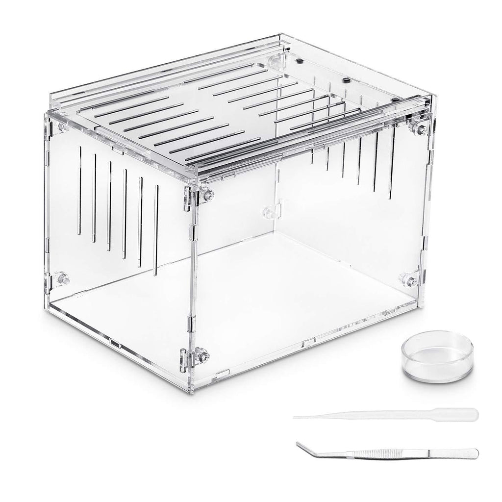 Kensiko Breeding Box Tank with Accessories, 8x6x4 Inch Display Tarantula Sling, Corn Snake and Other Acrylic Transparent Reptile Feeding Box 8x6x6 inch - PawsPlanet Australia