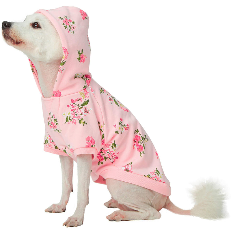 Blueberry Pet 3 Patterns Spring Scent Inspired Rose Flower Pullover Dog Sweatshirts Back Length 8" Sweatshirt - Baby Pink - PawsPlanet Australia