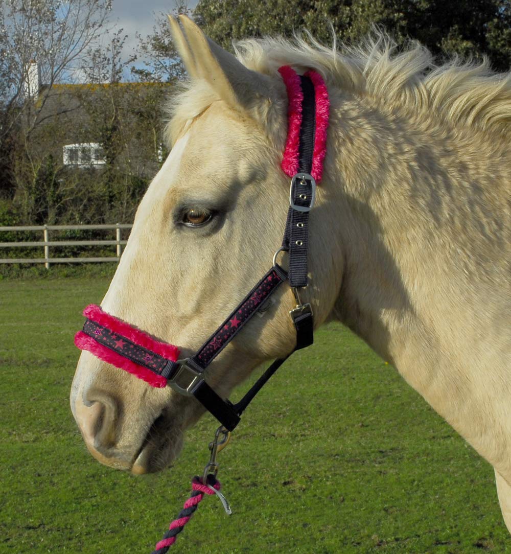 Rhinegold Crystal Star Headcollar & Rope Set Full Navy/Pink - PawsPlanet Australia