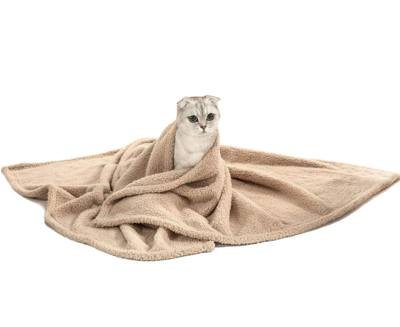 MOONIGHT TIME Soft Fleece Small Dog Blanket, Sherpa Fleece Throw Dog Blanket, Pet Throw Blanket Fluffy Reversible Washable for Dogs and Cats Small (24*32") Beige - PawsPlanet Australia