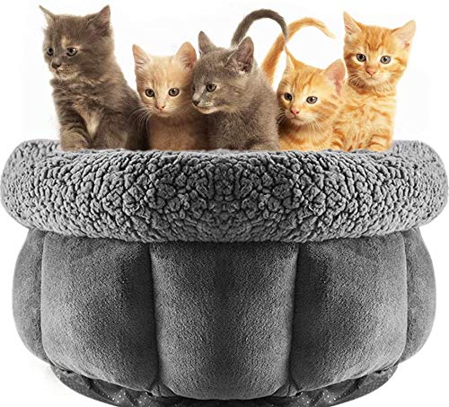 Kitten Queen Washable Premium Pet Bed Cushion 18x18x7in Fluffy Plush Cat Nest Puppy Pet Cuddle Cozy Sofa Round Basket Bed Sleeping Bed Mat for Small Medium Puppies Cats Kitten Non-Slip Bottom - PawsPlanet Australia