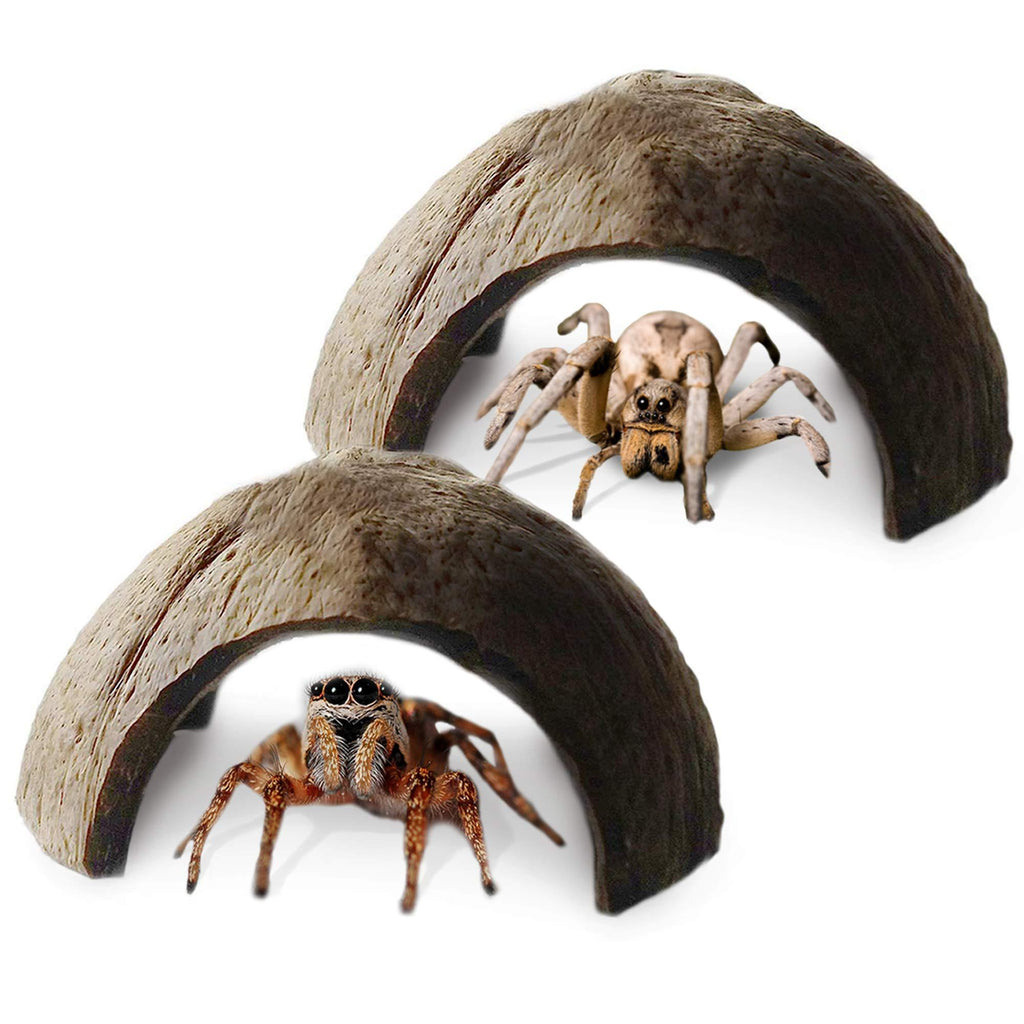 Meric Coco Hut for Spiders, 4-5", Comfortable Hideaway Spots and Climbing Hills for Arachnids, Makes Great Anchor Points for Web-Building, Coconut Shell Material, 2 Pcs per Pack - PawsPlanet Australia