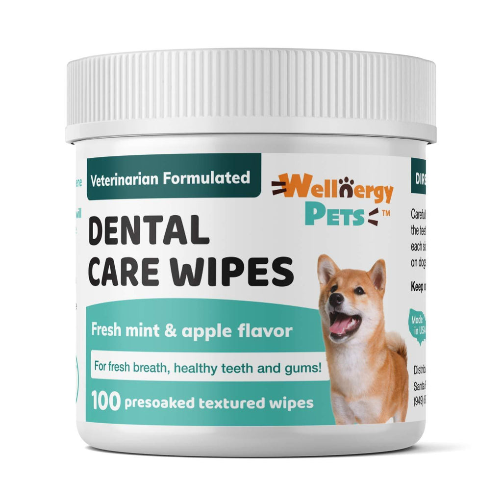 Wellnergy Pets Dental Wipes for Dogs and Cats - No Brush Formula; Improve Oral Hygiene and Health; Freshen Breath; Fresh Mint Flavor. 100 Wipes. - PawsPlanet Australia