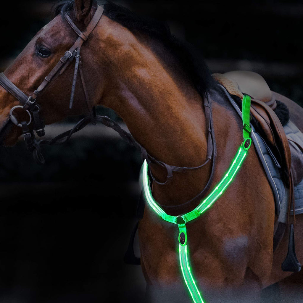 Harrison Howard LED Flashing Horse Breastplate Collar- High Visibility Tack for Horseback Riding-Superb Night Safty on Road Flourescent Green - PawsPlanet Australia
