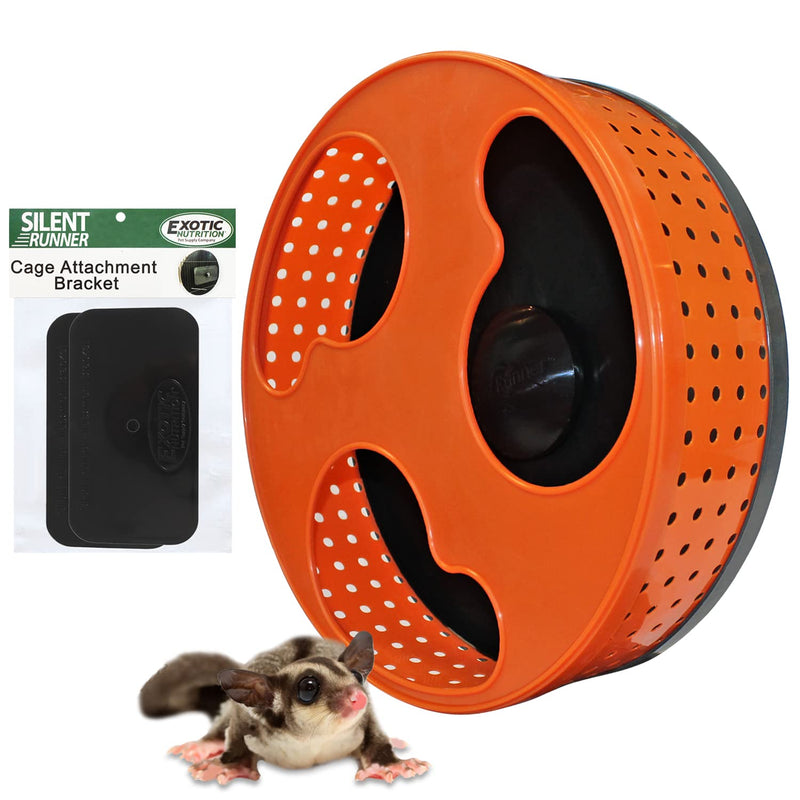 Silent Runner 12" with Autoclean | Sugar Glider Wheel - PawsPlanet Australia