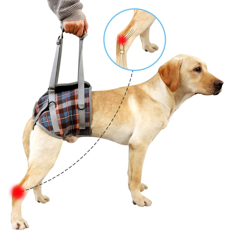 [Australia] - Heywean Dog Lift Harness with Handle Support Injured Back Legs Adjustable Pet Recovery Assistive Strap S Blue 