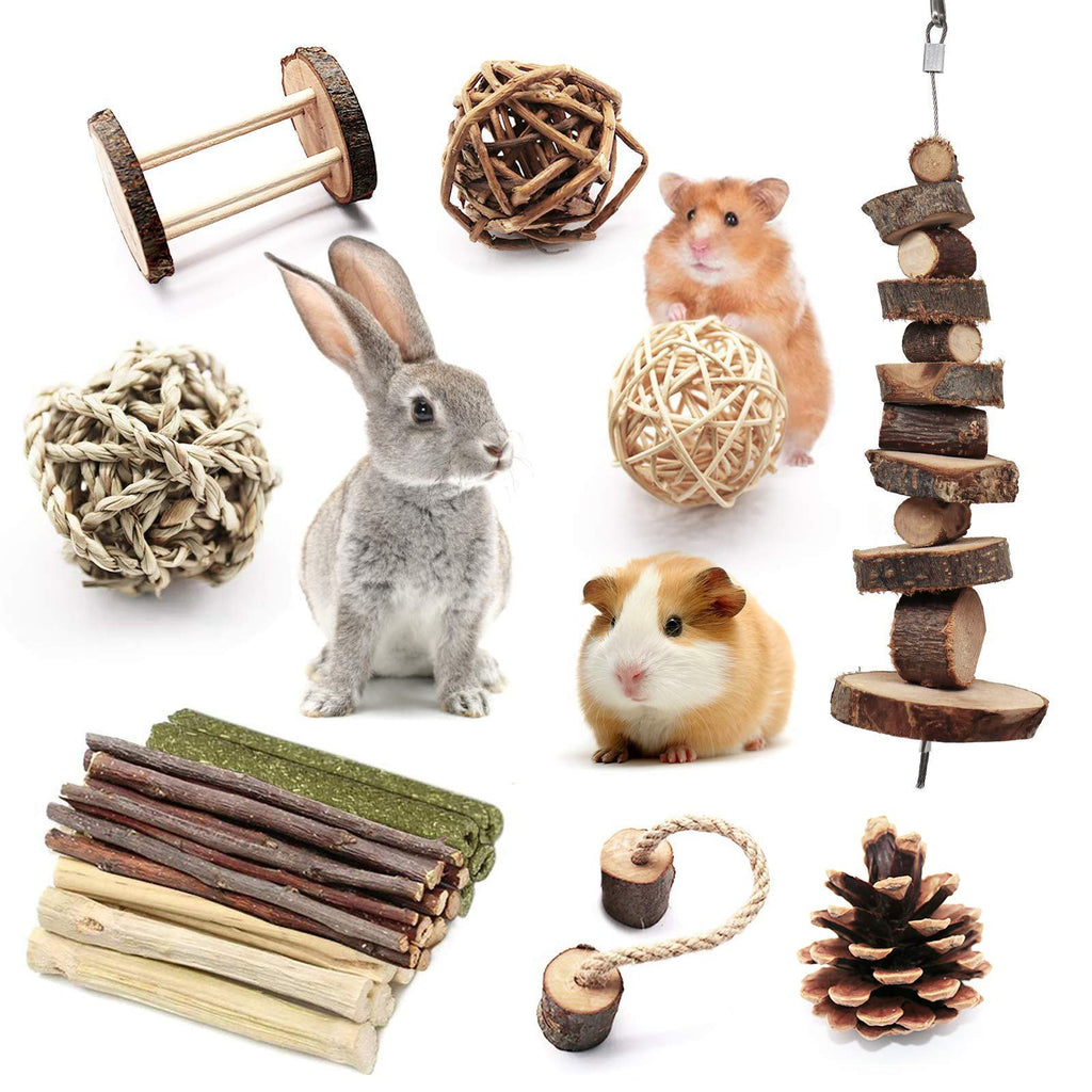 Guinea Pig Toy Bunny Toy Chinchilla Hamster Chew Toy, Organic Natural Apple Wood Dumbells Exercise Bell Roller Ideal for Gerbil，Hamster,Rabbit,Rmall Animal ChewTeeth Grinding(10Pcs) - PawsPlanet Australia