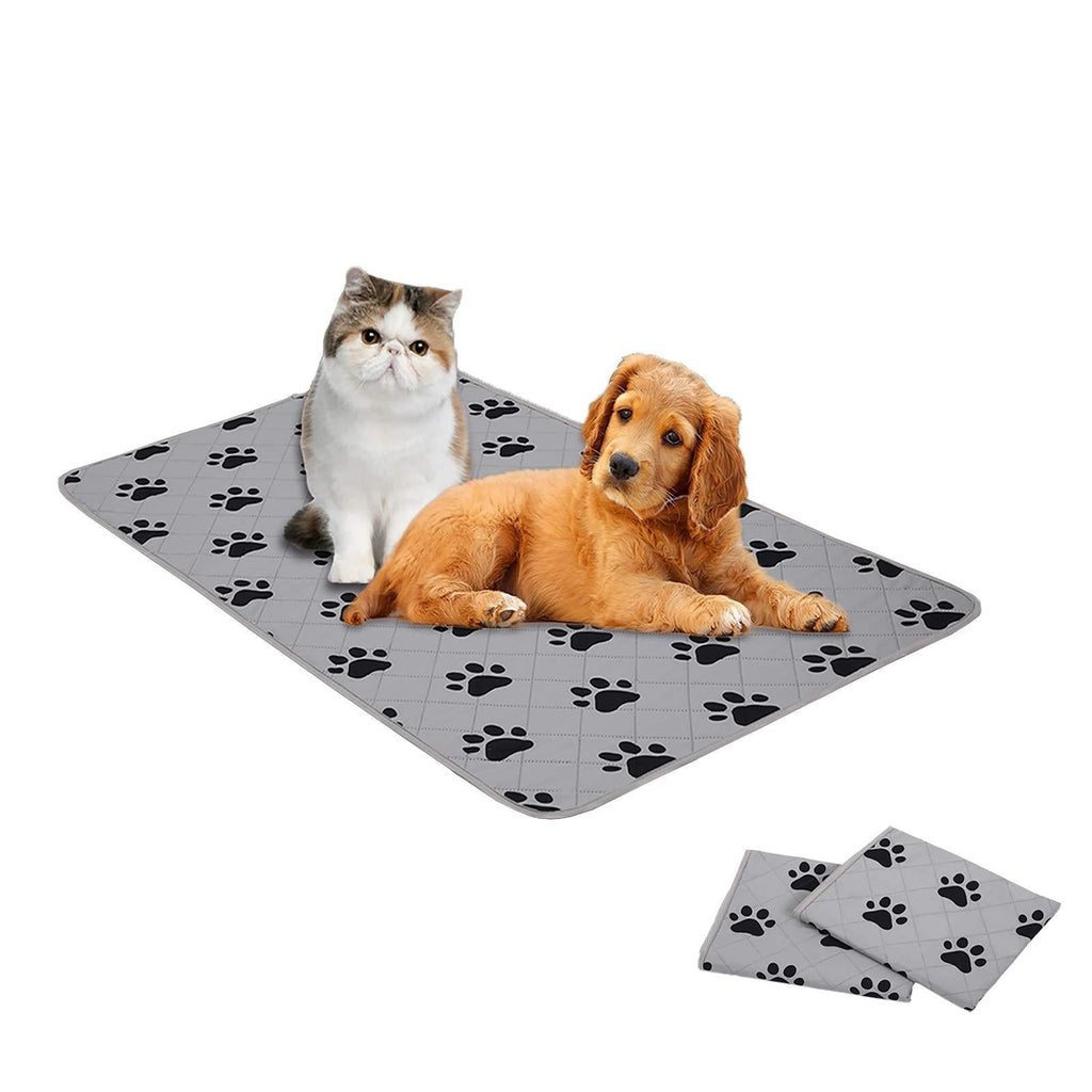[Australia] - SPXTEX Dog Bed Cover Dog Crate Pads Dog Pee Pads Rugs Washable Dog Pads, Non Slip Puppy Pee Pads for Small Dogs, Waterproof Pet Pad Rug, Dog Whelping Training Pads for Dogs Paw 21"x34"(2 Pack) 