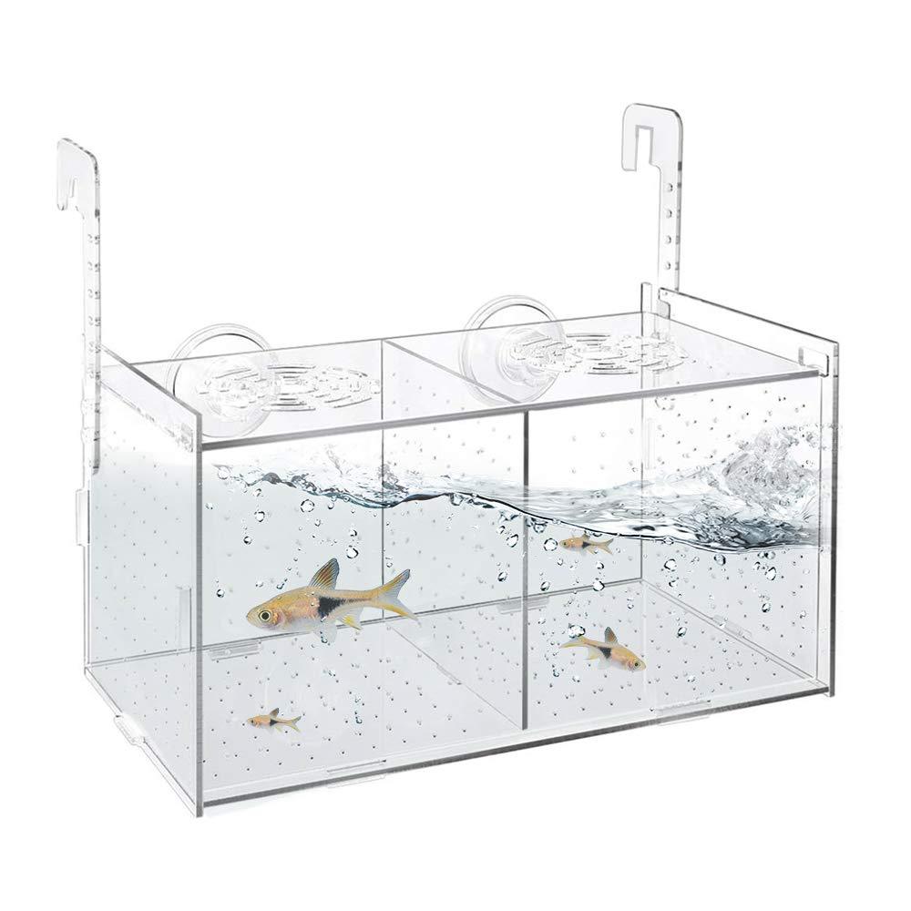 Fish Breeding Box, Acrylic Breeder Isolation Box Aquarium Fish Tank Hatchery Incubator with Suction Cups for Baby Fishes Shrimp Clownfish Guppy - PawsPlanet Australia