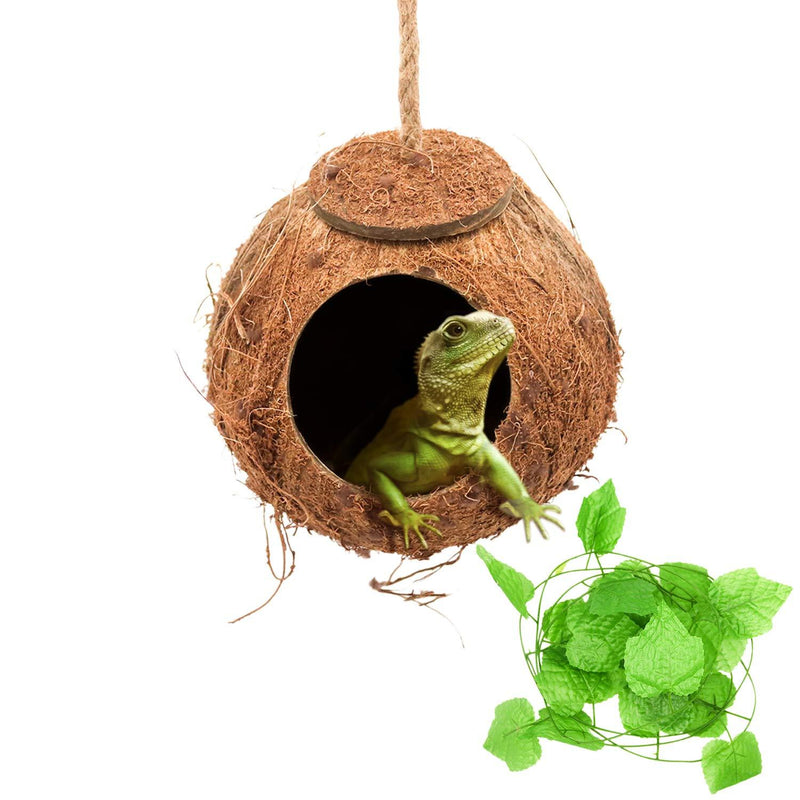 [Australia] - Crested Gecko Coco Hut Shell Bird House, Sturdy Hanging Home, Climbing Porch, Hiding, Sleeping&Breeding Pad, Rough Texture Encourages Foot and Beak Exercise, Suitable for Reptiles, Amphibians 1-Hole 